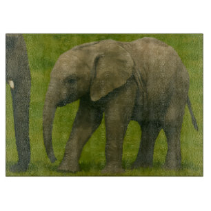 Junger Elefant mit Guardian im Grassy Reserve Schneidebrett