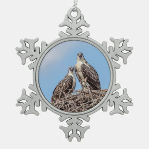 Junger Fischadler im Nest Schneeflocken Zinn-Ornament