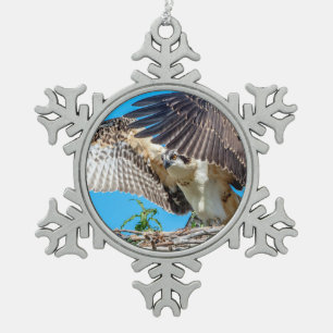 Junger Fischadler im Nest Schneeflocken Zinn-Ornament