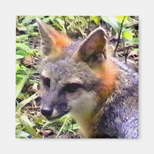 JUNGER FUCHS MAGNET