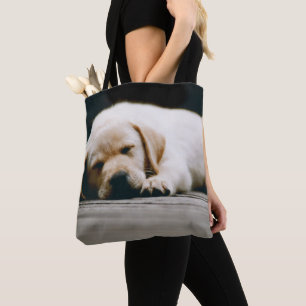 Junger gelber Labrador-Welpe schläft solid Tasche
