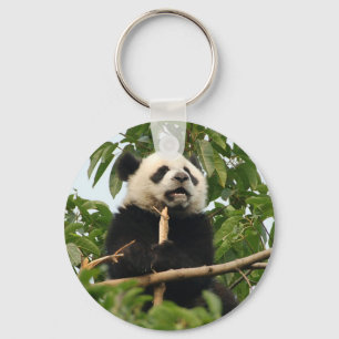 Junger großer Panda - Schlüsselkette Schlüsselanhänger
