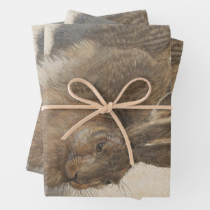 Junger Hase von Albrecht Durer, Renaissance-Feinbi Geschenkpapier Set