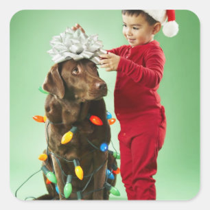 Junger Junge, der Weihnachtslichter um einen Hund Quadratischer Aufkleber