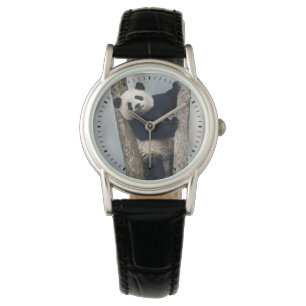 Junger Panda, der einen Baum, China klettert Armbanduhr
