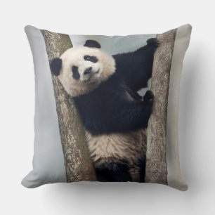 Junger Panda klettert auf einen Baum, China Kissen