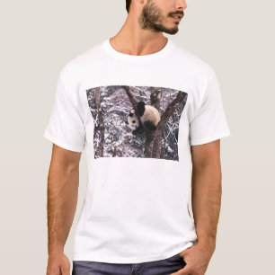 Junger Panda spielt auf einem mit Schnee bedeckten T-Shirt