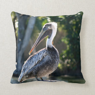 junger Pelikan auf wilder Vogelphotographie des Kissen