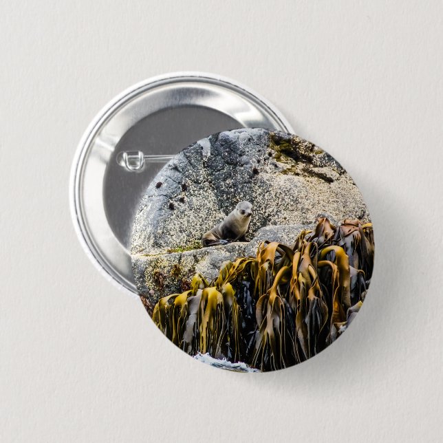 Junger Pelz Siegel auf dem Felsen Button (Vorne & Hinten)