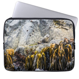 Junger Pelz Siegel auf dem Felsen Laptopschutzhülle