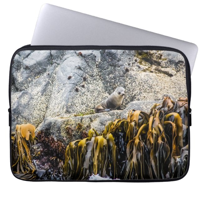 Junger Pelz Siegel auf dem Felsen Laptopschutzhülle (Vorderseite)