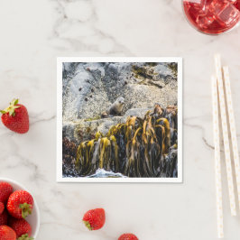 Junger Pelz Siegel auf dem Felsen Serviette