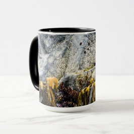 Junger Pelz Siegel auf dem Felsen Tasse