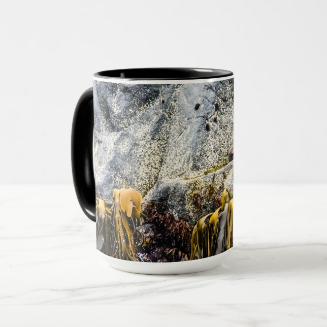 Junger Pelz Siegel auf dem Felsen Tasse (Vorderseite Links)