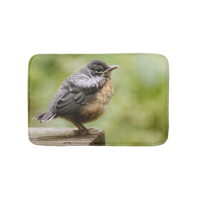 Junger Robin Badematte (Vorderseite)
