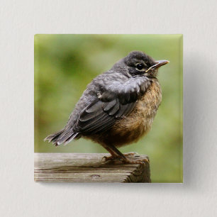 Junger Robin Button