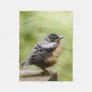 Junger Robin Fleecedecke