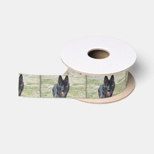 Junger Schäferhund Satinband
