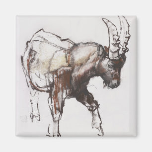 Junger Steinbock Gran Paradiso 2005 Magnet