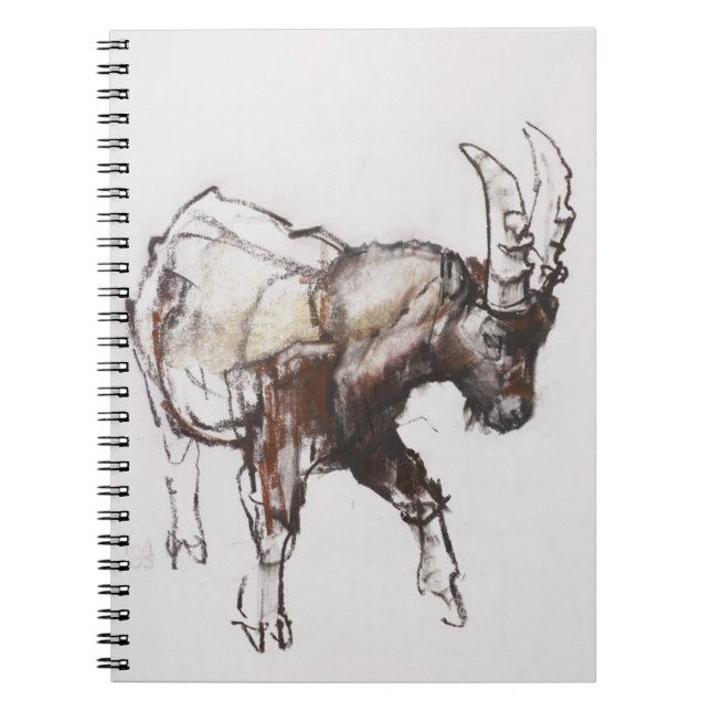 Junger Steinbock Gran Paradiso 2005 Notizblock (Vorderseite)