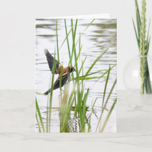 Junger Vogel im Flug Karte