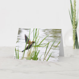 Junger Vogel im Flug Karte