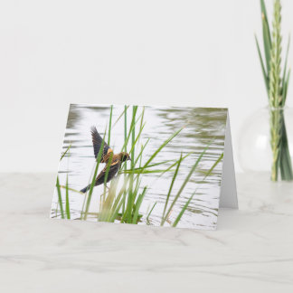 Junger Vogel im Flug Karte