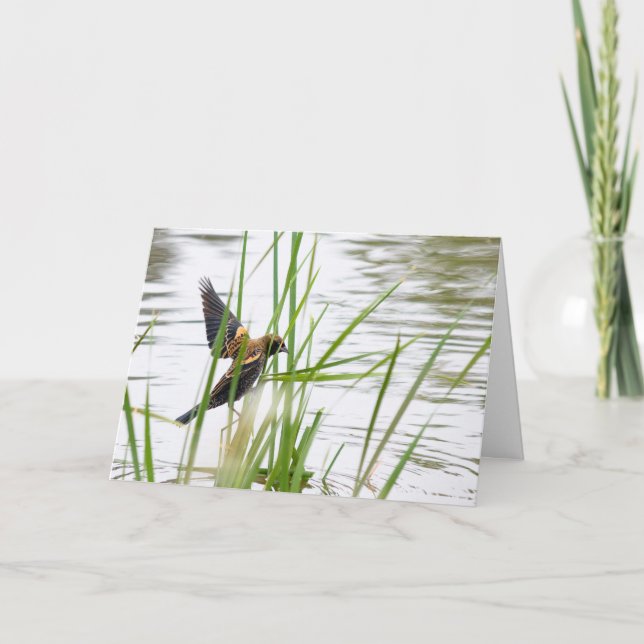 Junger Vogel im Flug Karte (Vorderseite)
