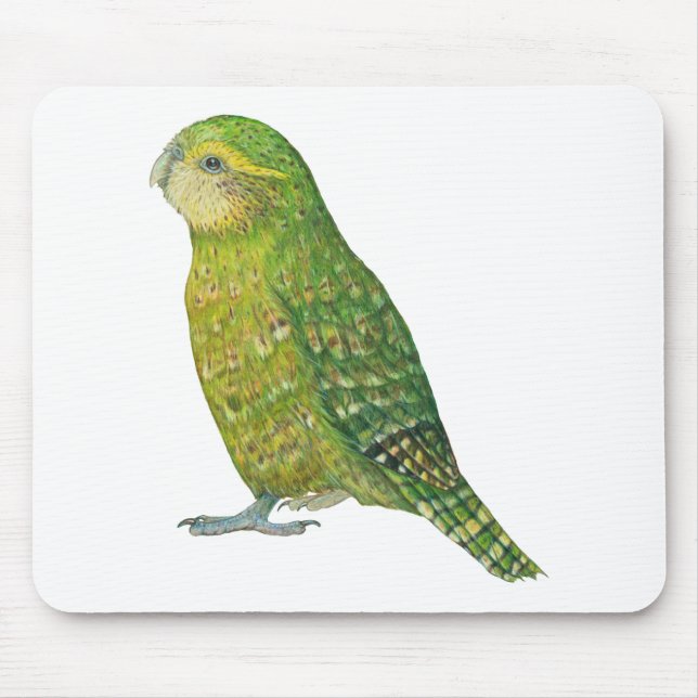 Junger weiblicher Kakapo Mousepad (Vorne)