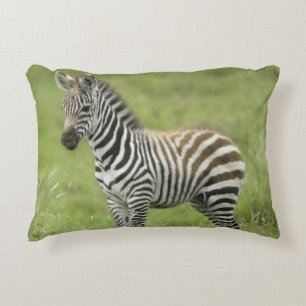 Junger Zebra im Serengeti schlicht Dekokissen