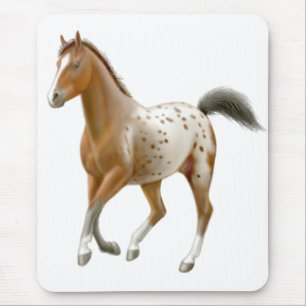 Junges Appaloosa-Pferd Mousepad