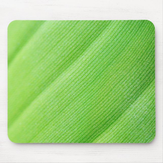 junges Bananenblatt Mousepad (Vorne)