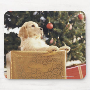 Junges Labrador, das auf einem Weihnachtsgeschenk Mousepad