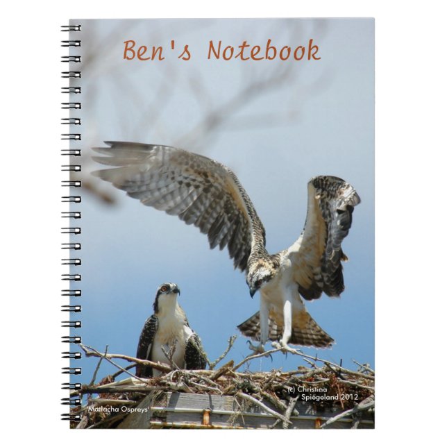 Junges Ospreys-Falken Bens Notizbuch Notizblock (Vorderseite)