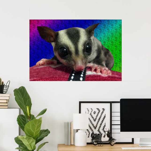 Junges Sugar Glider Poster (Heimbüro)