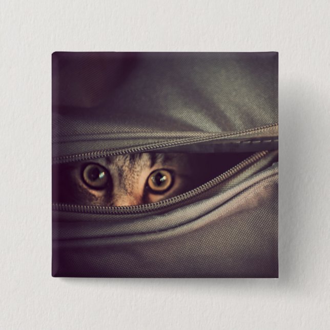 Junges Tabby-Kätzchen Button (Vorderseite)