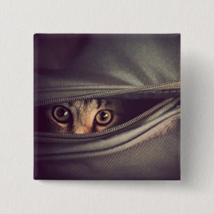 Junges Tabby-Kätzchen Button