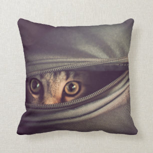 Junges Tabby-Kätzchen Kissen