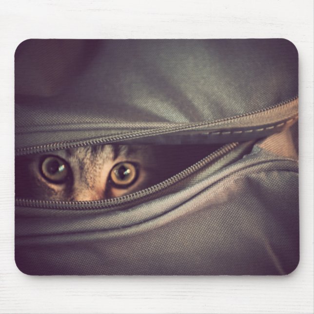Junges Tabby-Kätzchen Mousepad (Vorne)