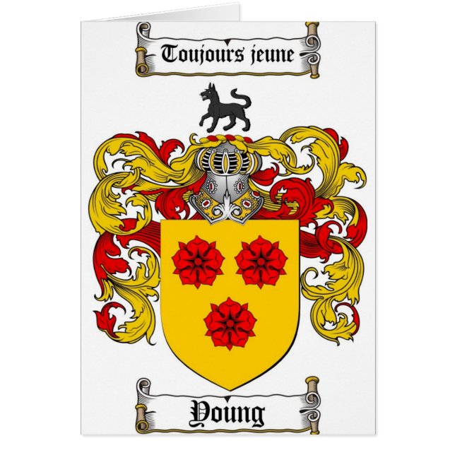 Junges Wappen/junges Familienwappen (Vorne)