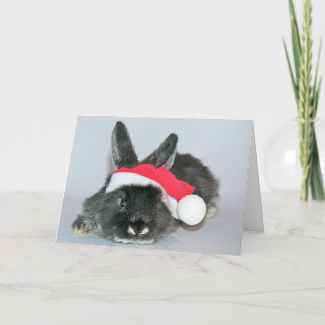 Junges Weihnachtskaninchen Feiertagskarte (Vorderseite)