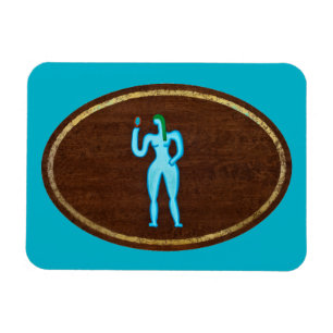 Jungfrau 2008 magnet