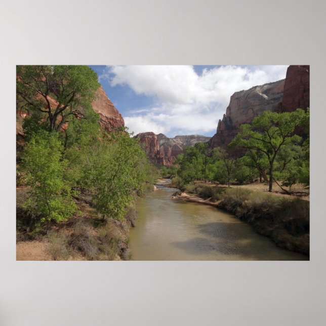 Jungfrau im Frühjahr im Zion-Nationalpark Poster (Vorne)