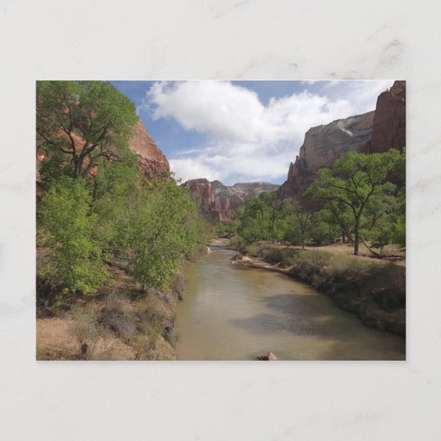 Jungfrau im Frühjahr im Zion-Nationalpark Postkarte (Vorderseite)
