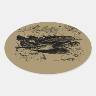 Jungfrau-Konstellation Hevelius Radierungs-Art Ovaler Aufkleber