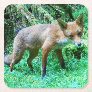 Jungfuchs Waldszene Grüne Natur Wildtiere Rechteckiger Pappuntersetzer