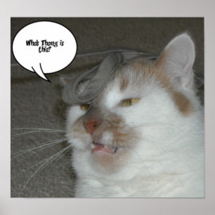 Junggesellenabschied Wem gehört dieser String Poster