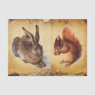 Junghaare (Kaninchen), Eichhörnchen und Nüsse-Perg Seidenpapier