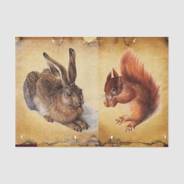 Junghaare (Kaninchen), Eichhörnchen und Nüsse-Perg Seidenpapier (Vorderseite)