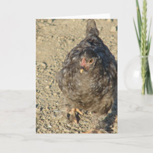 Junghähnchen Karte